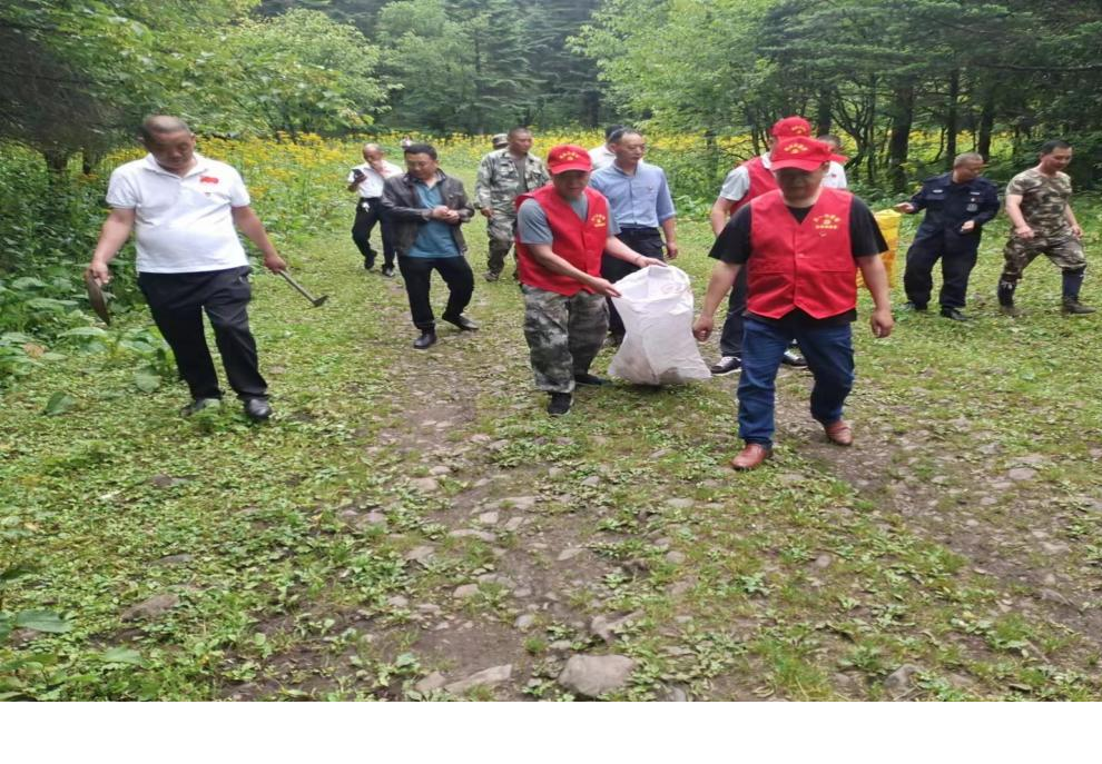 图为党员志愿者在小杜鹃池风景区清理垃圾