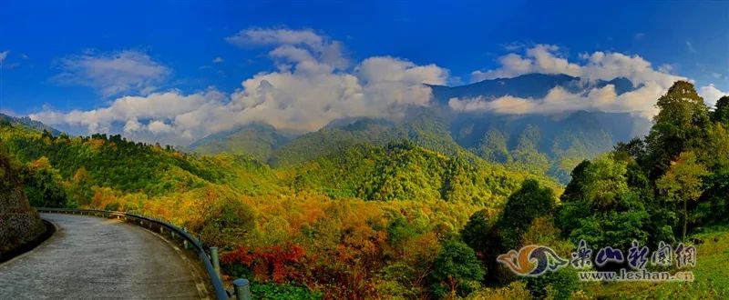峨边彝族自治县黑竹沟国家森林公园（王永春摄）