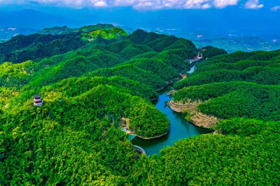 沐川竹海