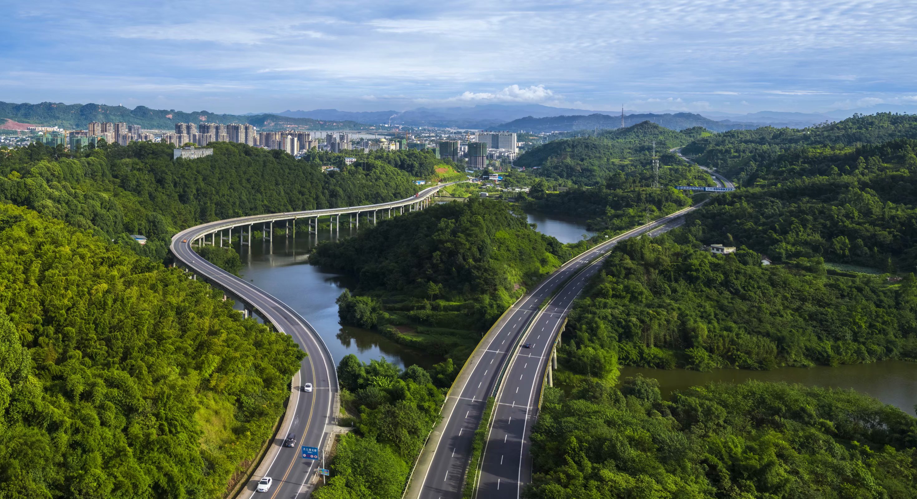 道路绿化